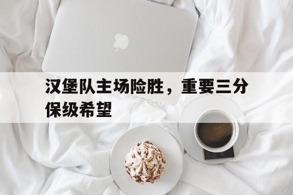 包含汉堡队主场险胜，重要三分保级希望的词条
